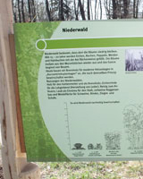 Infotafel Niederwald Hartig Walderlebnispfad im Hessenpark